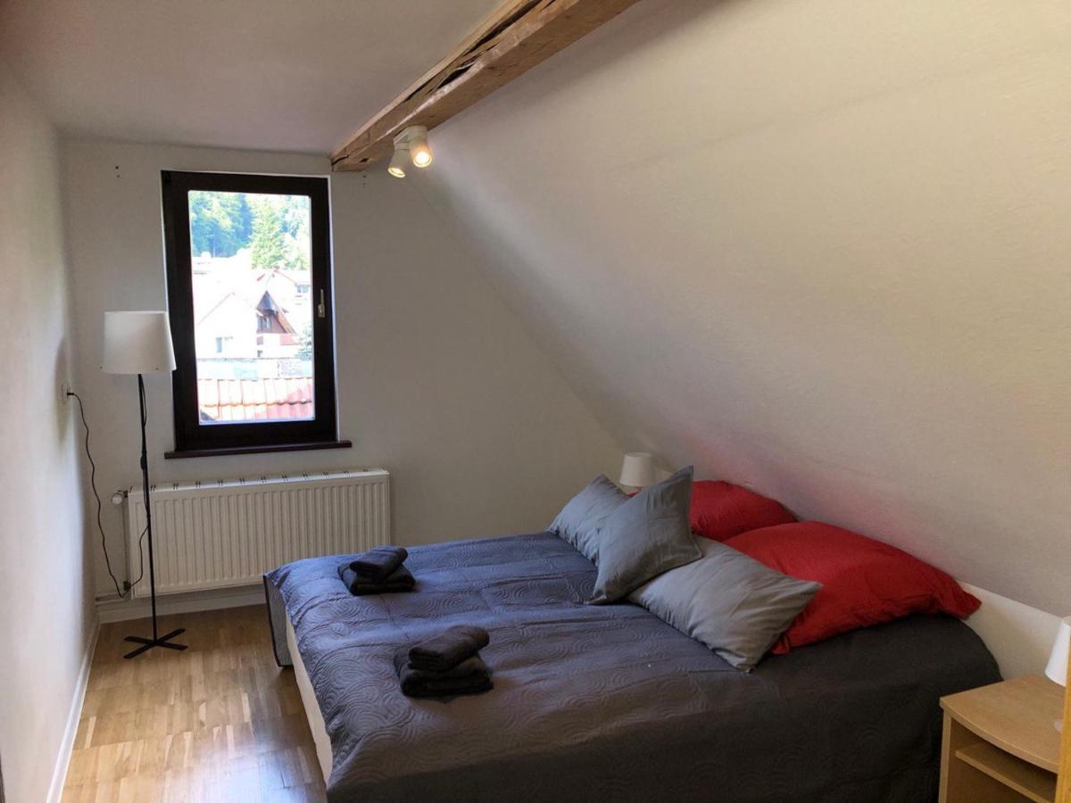 Ferienhaus Art Apartment - Harz Zorge Exterior foto